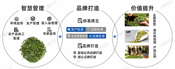 品牌建設(shè)